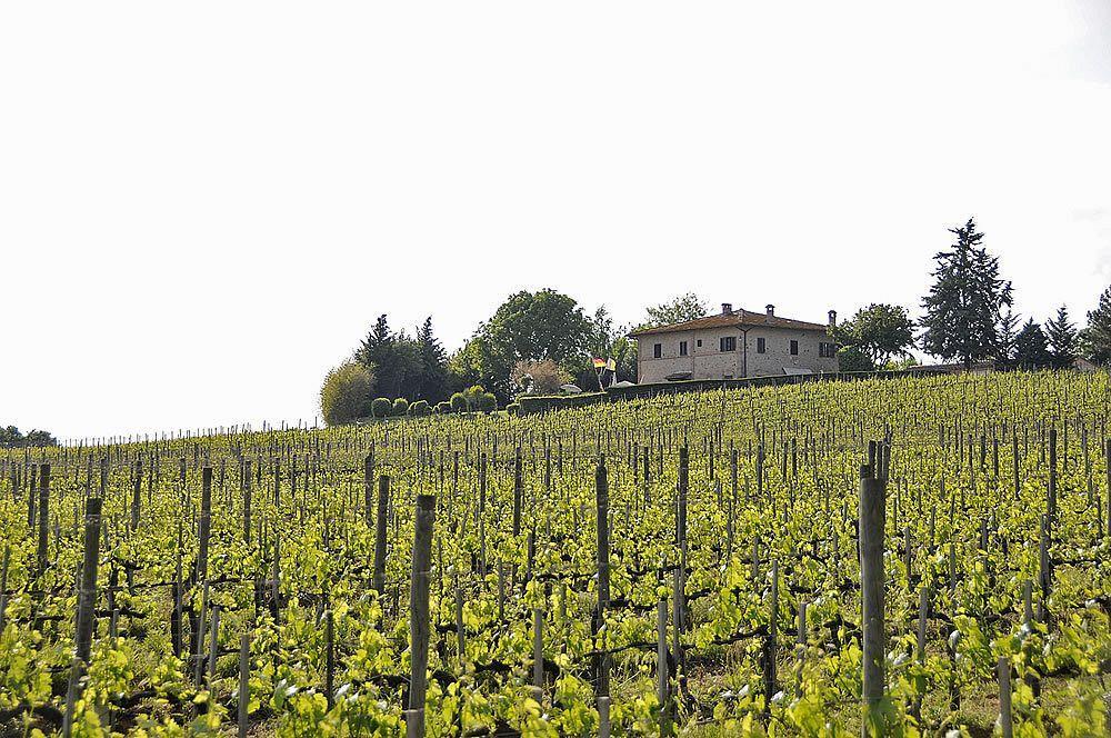 Il Colombaio, Siena -Appartamenti E Camere- Isola d'Arbia Extérieur photo