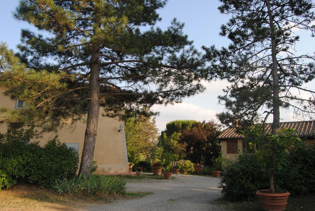 Il Colombaio, Siena -Appartamenti E Camere- Isola d'Arbia Extérieur photo