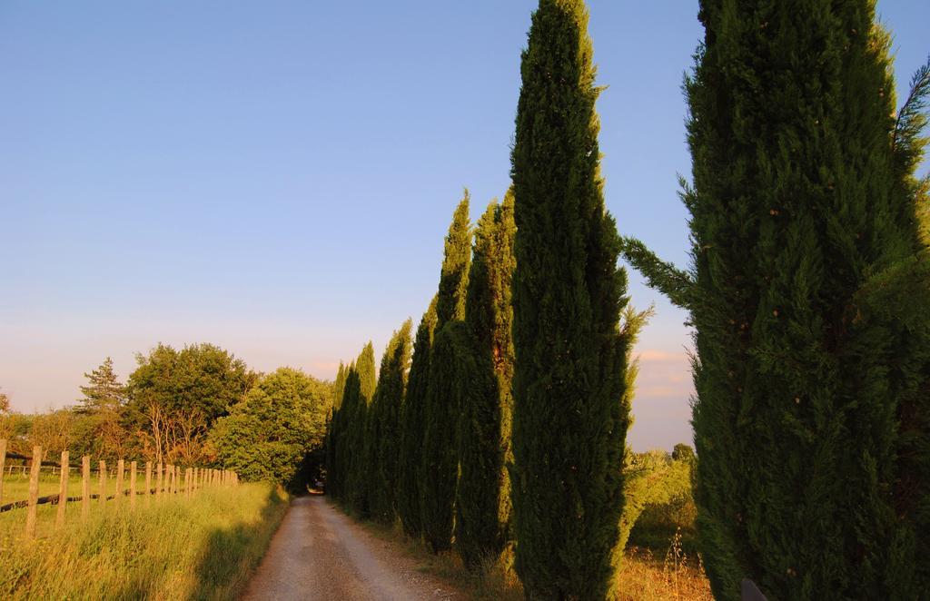Il Colombaio, Siena -Appartamenti E Camere- Isola d'Arbia Extérieur photo