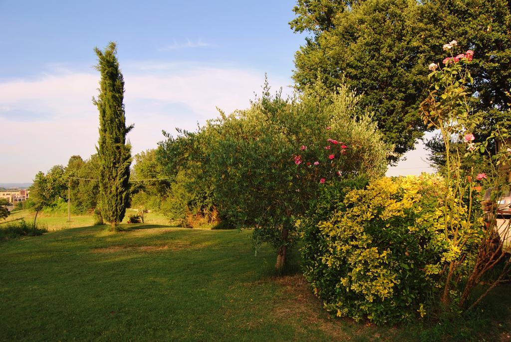 Il Colombaio, Siena -Appartamenti E Camere- Isola d'Arbia Extérieur photo