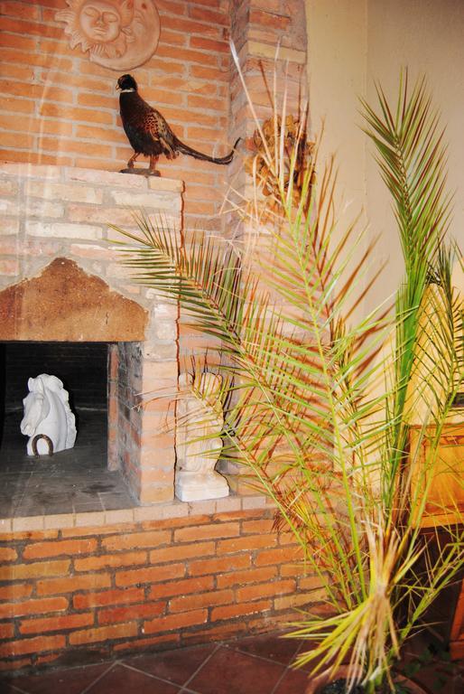 Il Colombaio, Siena -Appartamenti E Camere- Isola d'Arbia Extérieur photo