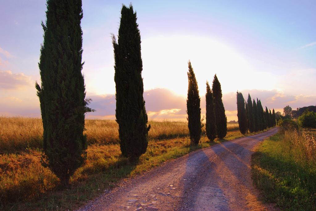 Il Colombaio, Siena -Appartamenti E Camere- Isola d'Arbia Extérieur photo